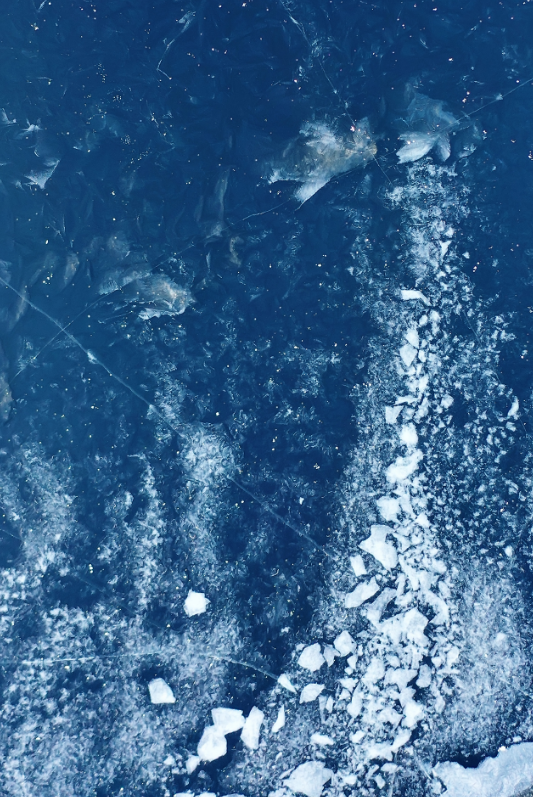 AdobeStock_540228420