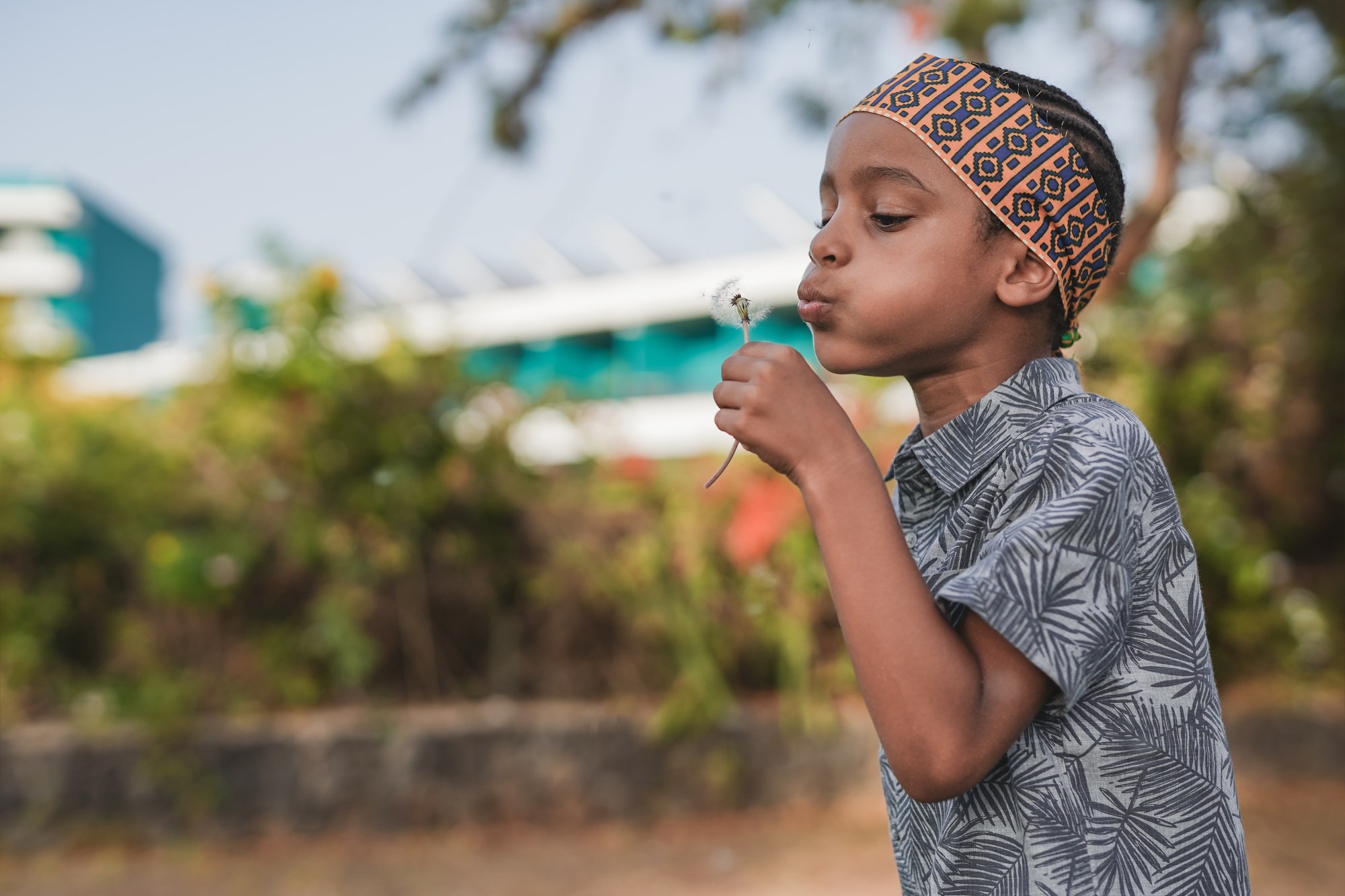 cute-african-boy-blowing-dandelion-outdoor-at-city-park.jpg