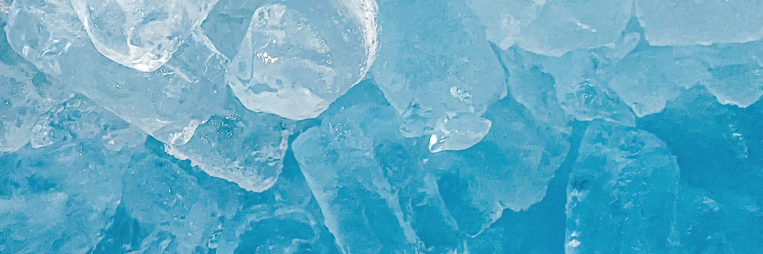 industry-members-banner