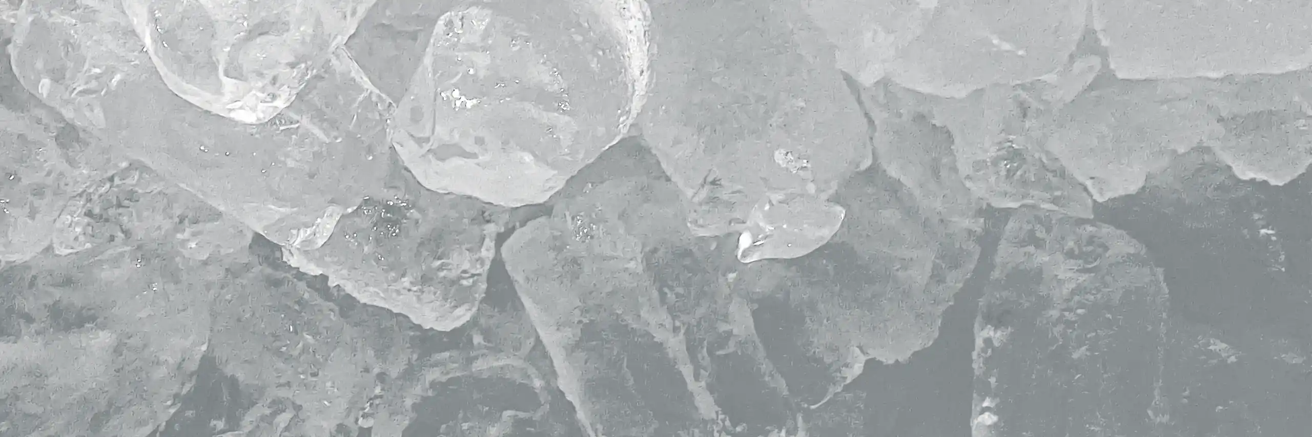 industry-members-banner2